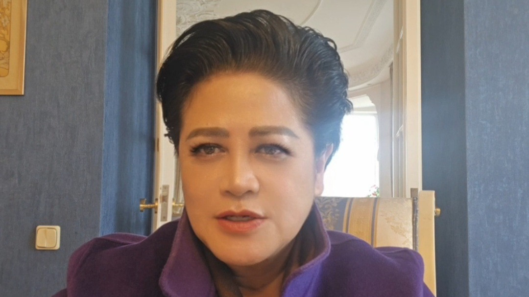 Akademisi hubungan internasional, Connie Rukandinie Bakrie