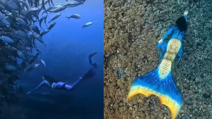 Gubernur Maluku Utara, Sherly Tjoanda melakukan Freedive untuk menghilangkan penat