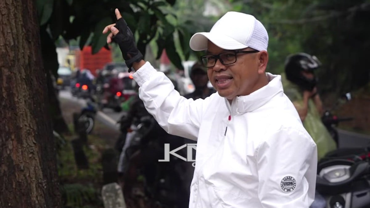 Dedi Mulyadi