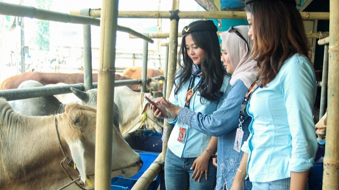 SPG Berkostum Ala Pramugari Ramaikan Penjualan Hewan Kurban