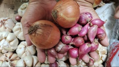 Pemerintah mobilisasi sapi lokal untuk memenuhi kebutuhan lebaran