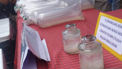 Polres Banyuasin gagalkan penyelundupan 86 ribu benih lobster