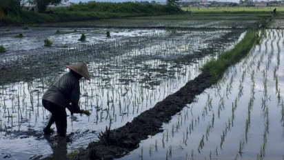 Kebijakan Emisi euro 4 Peluang Tingkatkan Eksport Mobil Nasional