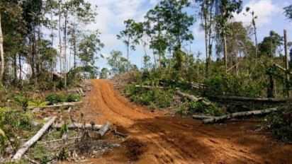 KPHP Mukomuko kesulitan ungkap pelaku perambahan hutan