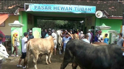 Harga Sapi Kurban Mulai Naik