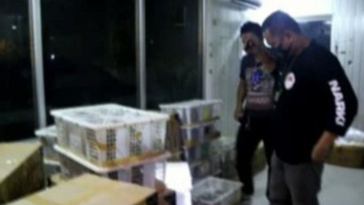 Lagi, Petugas Gagalkan Penyelundupan Burung dari Pelabuhan Bakauheni