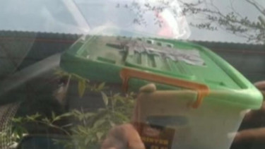 Mayat dalam Boks Plastik Punya Tato Tinker Bell