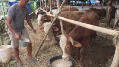 Pendapatan Pedagang Hewan Kurban Anjlok Terimbas Pandemi Covid-19