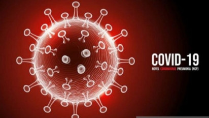 Asal Usul Virus Corona Terus Diselidiki Who Di Wuhan, Cina