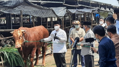 Biaya Kremasi Capai Rp65 Juta, Wagub DKI Minta Krematorium Tak Ambil Untung di Masa Pandemi