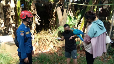 Burung Puluhan Juta Kabur saat Diberi Makan, Pemiliknya yang Sedang Hamil Lemas