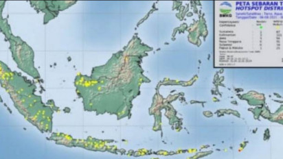 BMKG Deteksi 24 Titik Panas Indikasi Karhutla di Sumut