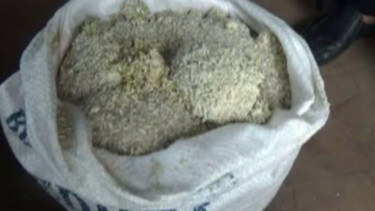 Viral, Beras Bantuan PPKM untuk Warga Pandeglang Menggumpal dan Tidak Layak Konsumsi