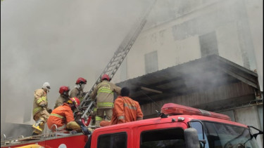 Gudang di Tanjung Priok Terbakar, Pemadaman Terkendala Asap Kuning Pekat