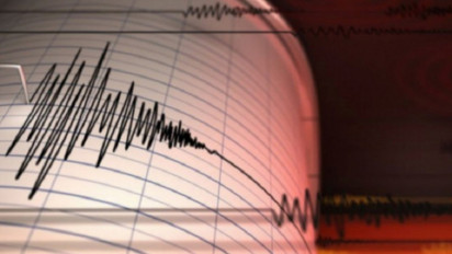 Gempa M 7,2 Guncang Haiti, 29 Orang Dilaporkan Meninggal