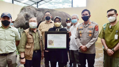 Hore! Taman Safari di Puncak Sudah Dibuka