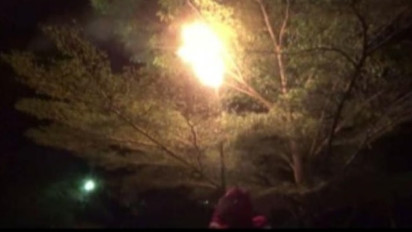 Membahayakan Pasien RS di Pinrang, Sarang Lebah Dimusnahkan