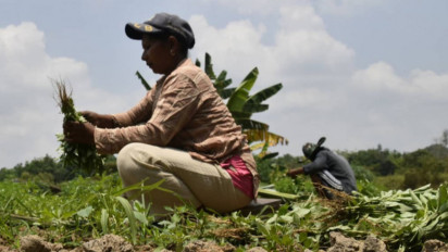 Sertifikasi 400 Ribu Bidang Tanah Di Sumatera Selatan Ditargetkan Rampung 2025
