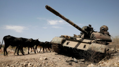 Pasukan Pemberontak Tigray Bunuh 120 Warga di Ethiopia