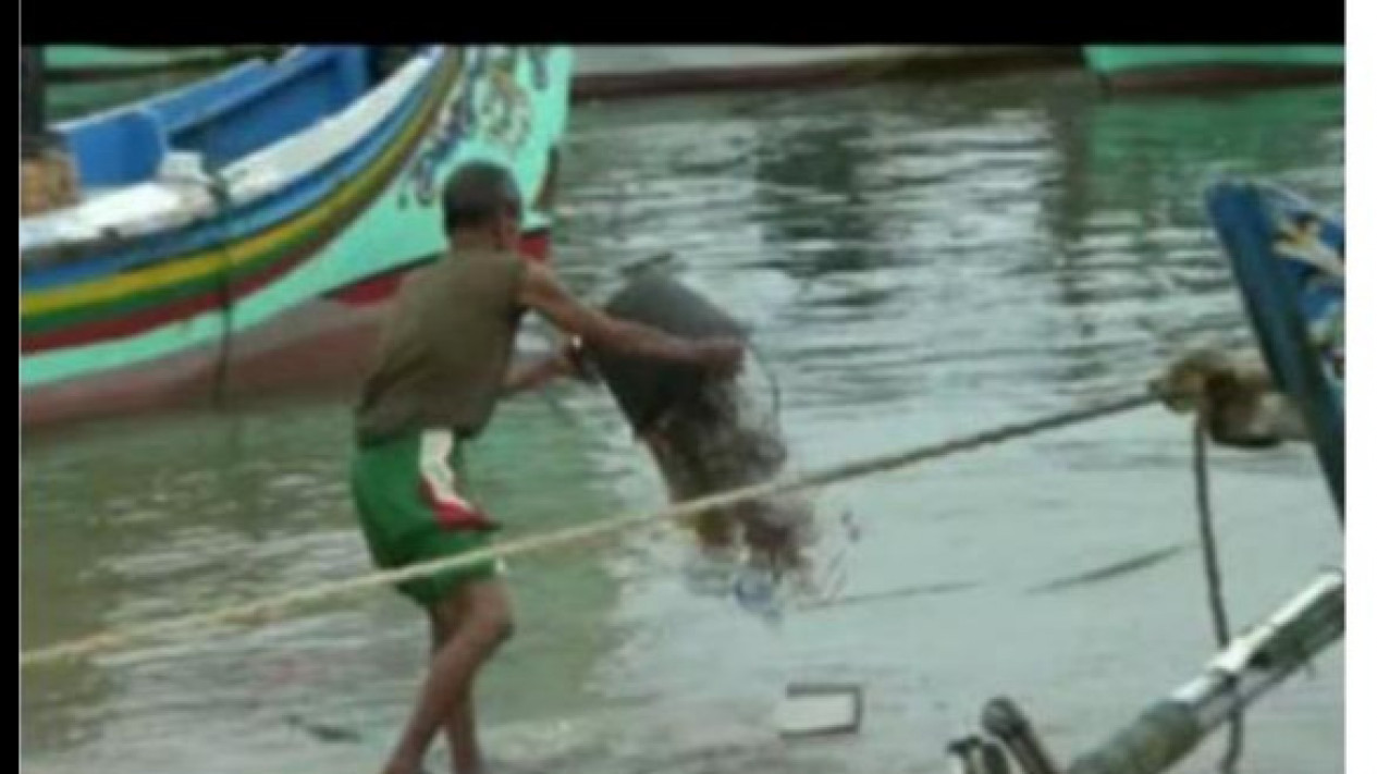 Pantai dan Laut Tuban Tercemar Sampah
            - galeri foto