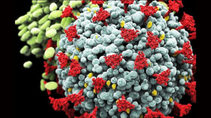 Curiga Varian Mu, Tim RS Lapangan Surabaya Ambil 78 Sampel