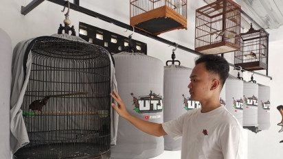 Punya Burung? Sekolahkan di Sini