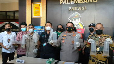 Polisi Kembali Gagalkan Penyelundupan Benih Lobster Senilai Rp 14 Miliar di Palembang