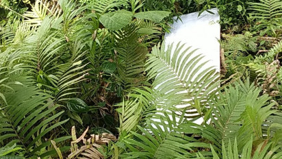 Jenazah Pasien Covid-19 Diambil Paksa, Peti Dibuang ke Semak-Semak