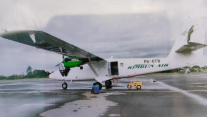 Profil Pesawat Rimbun Air yang Jatuh di Hutan Papua