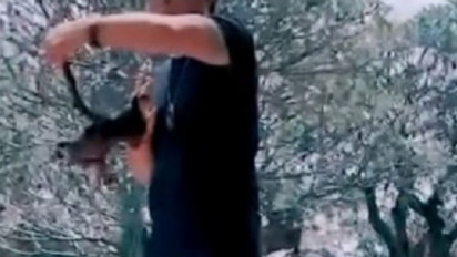 Usai Viral, Bupati Badung Kembalikan Owa Siamang Ke BKSDA