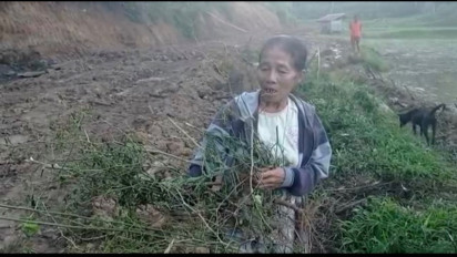 Kejam! Lahan Siap Panen Digilas Alat Berat Hingga Rata Dengan Tanah