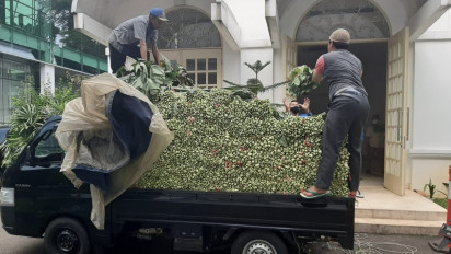 Usai Petani Mengamuk, Presiden Jokowi Borong Dua Ton Sawi