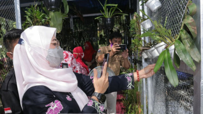Wow! Tanaman Langka Endemik Luar Negara Angrek Pensil Ditemukan di Bangka Belitung