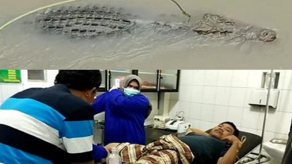 Buaya Gigit Warga Tanggamus Lampung