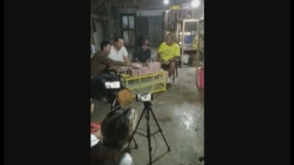 Viral! Burung Merpati Terjual Rp1,5 Miliar Rupiah