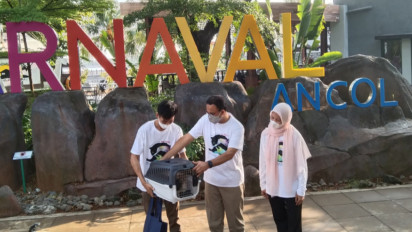 Pemprov DKI Ajak Daerah Penyangga Ibu Kota Cegah Penularan Rabies