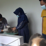 Vaksin Rabies Gratis Kucing dan Anjing di Gorontalo