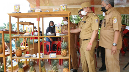 Asyik, Ada Desa Wisata Kampung Nanas, Ikan, dan Ulos di Tapanuli Utara