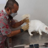 Cegah Rabies, Ratusan Hewan di Pet Shop Divaksin