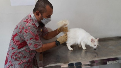Cegah Rabies, Ratusan Hewan di Pet Shop Divaksin