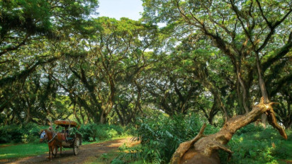 Strategi Banyuwangi Pulihkan Wisata, Siapkan Destinasi Sehat dan Digital