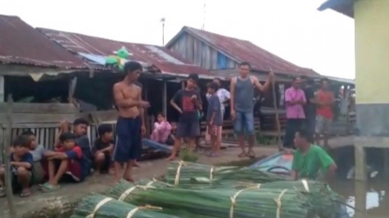 Sedang Mencari Daun Nipah Seorang Warga Hilang Diterkam Buaya
            - galeri foto