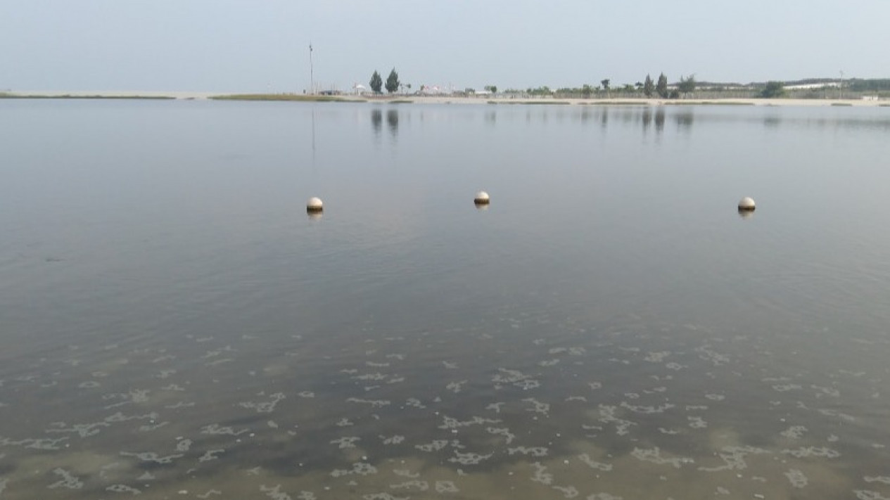 Pemprov DKI Uji Sampel Air Laut Teluk Jakarta
            - galeri foto