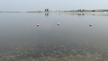 Pemprov DKI Uji Sampel Air Laut Teluk Jakarta