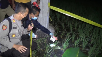 Petani Tewas Tersengat Listrik Jebakan Tikus Miliknya