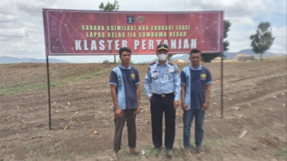 Over Kapasitas, Warga Binaan Lapas kls IIA Sumbawa Besar dijadikan Petani, Kok Bisa?