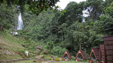 Yuk Intip! Keindahan Curug Pletuk Banjarnegara