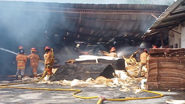 Pabrik Triplek di Pajangan Bantul Yogyakarta Ludes Terbakar