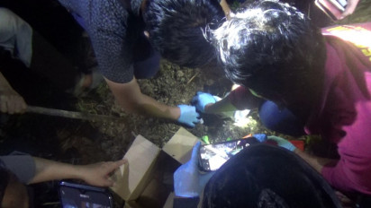 Sadis, Bayi Prematur Dikubur di Semak-Semak