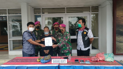 Prajurit Yonif 8 Mar Gagalkan Pengiriman Ganja via JNE, Barbuk Dibalut Ikan Asin